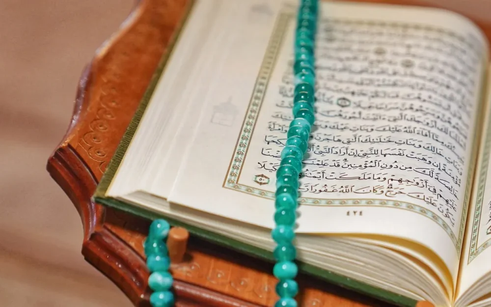 Quran Translation & Tafsir